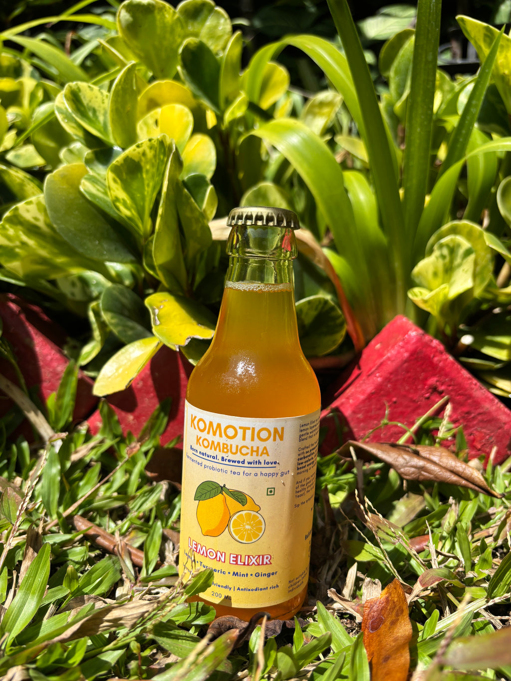 Lemon Elixir (200ml)