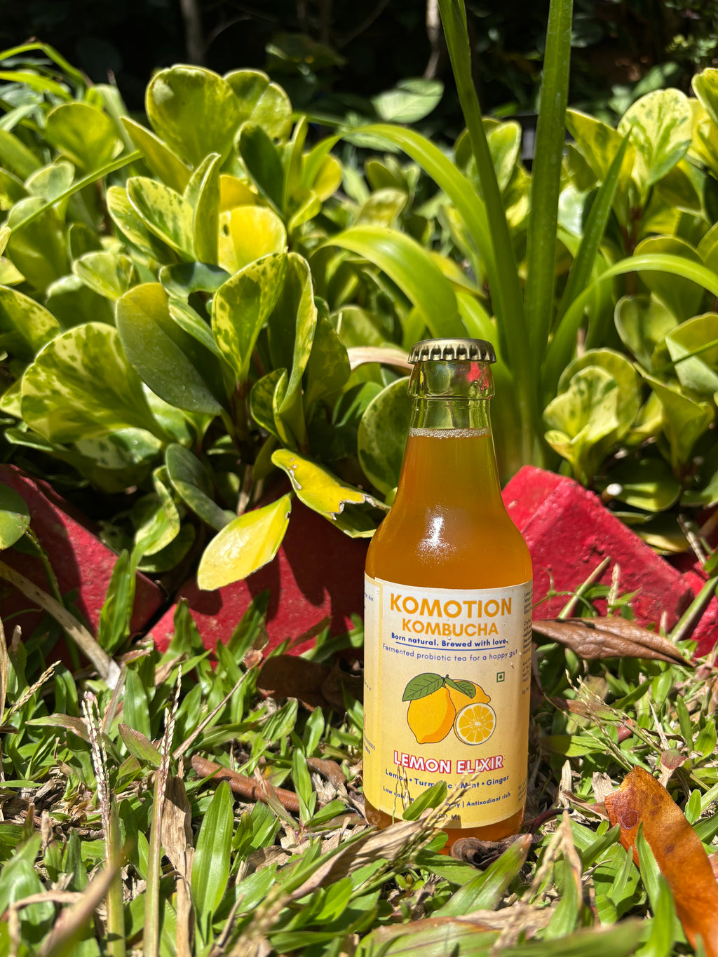 Lemon Elixir (200ml)